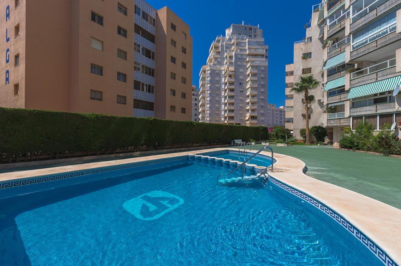 Alecus * Calpe